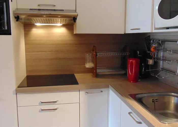 Convivial En Zone Pietonne Avec Animaux Admis, Balcon - - Fr-1-517-23 * Chamonix